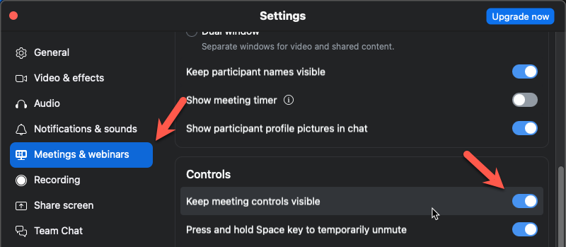 Zoom always show meeting controls